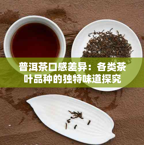 普洱茶口感差异：各类茶叶品种的独特味道探究