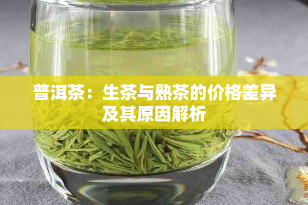 普洱茶：生茶与熟茶的价格差异及其原因解析