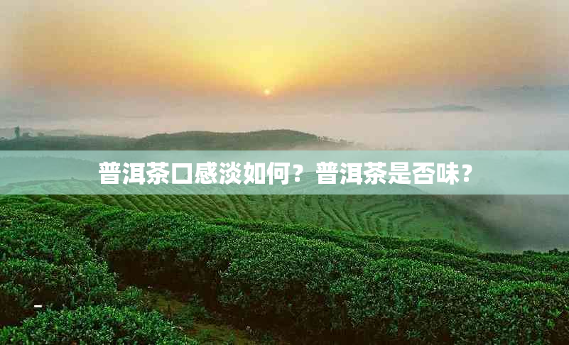 普洱茶口感淡如何？普洱茶是否味？