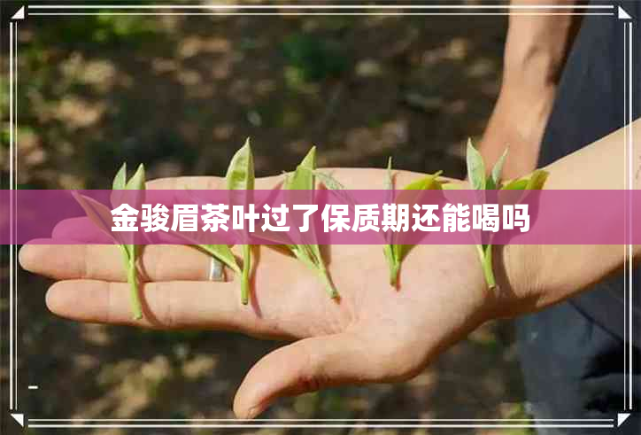 金骏眉茶叶过了保质期还能喝吗