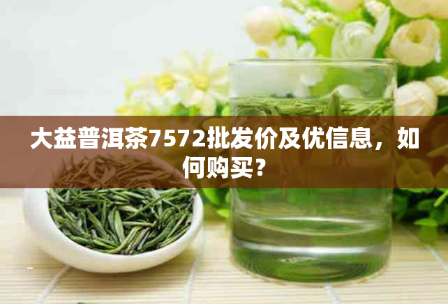 大益普洱茶7572批发价及优信息，如何购买？