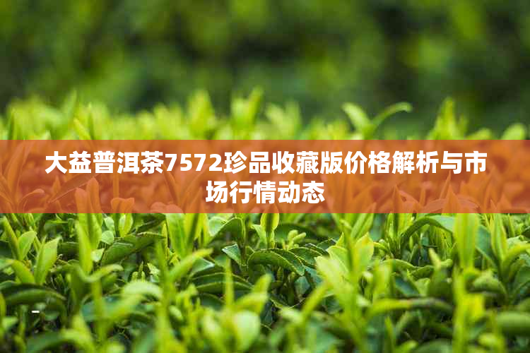 大益普洱茶7572珍品收藏版价格解析与市场行情动态