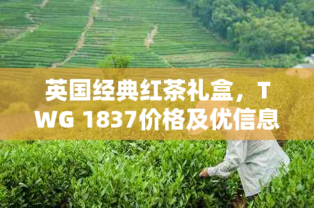 英国经典红茶礼盒，TWG 1837价格及优信息一目了然