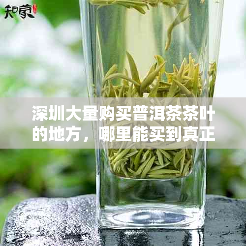 深圳大量购买普洱茶茶叶的地方，哪里能买到真正的茶叶？