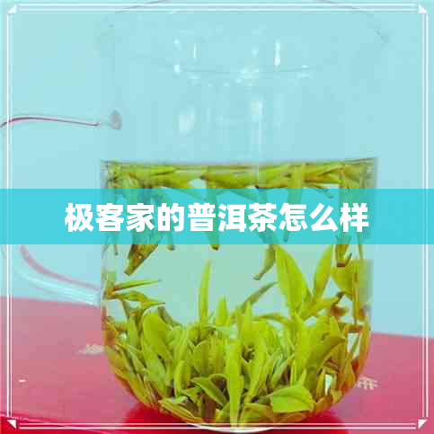 极客家的普洱茶怎么样