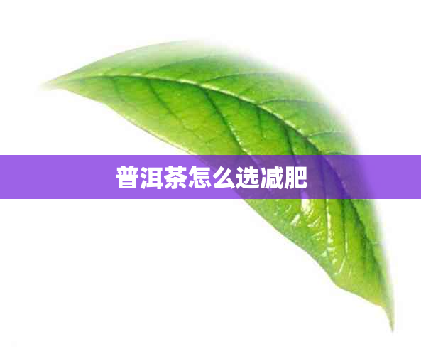 普洱茶怎么选减肥