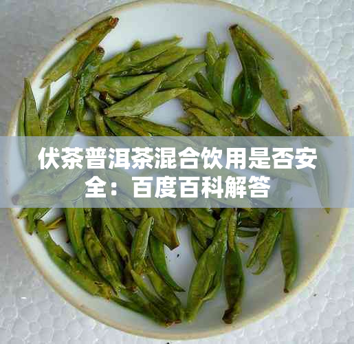 伏茶普洱茶混合饮用是否安全：百度百科解答