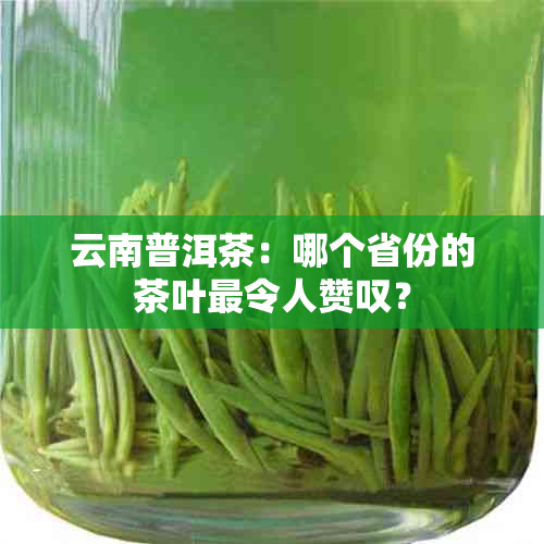 云南普洱茶：哪个省份的茶叶最令人赞叹？