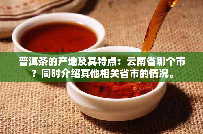 普洱茶的产地及其特点：云南省哪个市？同时介绍其他相关省市的情况。