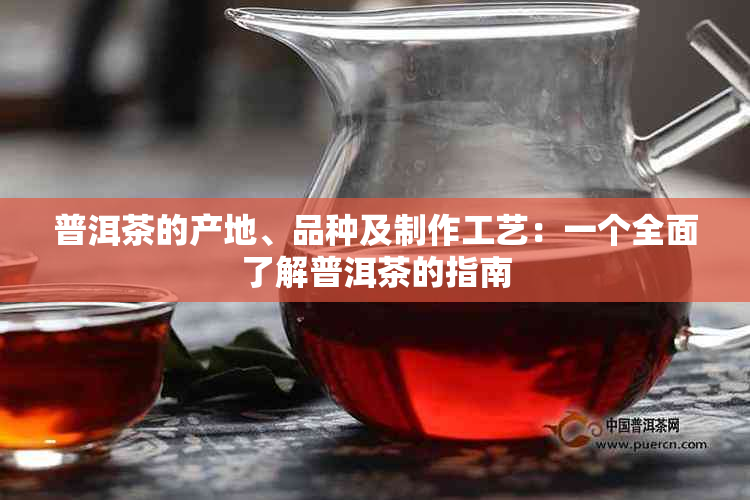 普洱茶的产地、品种及制作工艺：一个全面了解普洱茶的指南