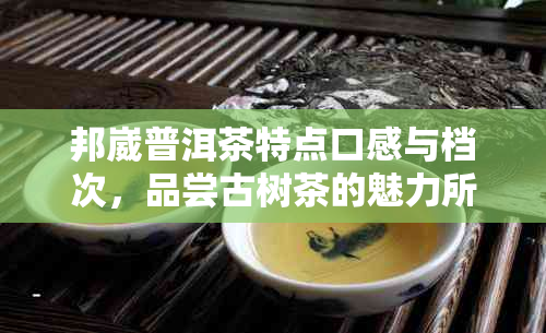 邦崴普洱茶特点口感与档次，品尝古树茶的魅力所在