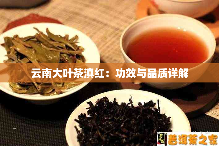 云南大叶茶滇红：功效与品质详解