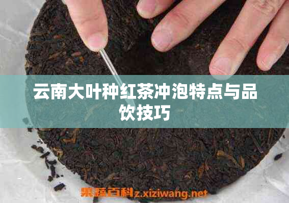 云南大叶种红茶冲泡特点与品饮技巧