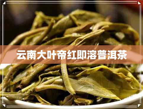 云南大叶帝红即溶普洱茶