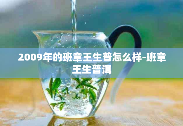 2009年的班章王生普怎么样-班章王生普洱