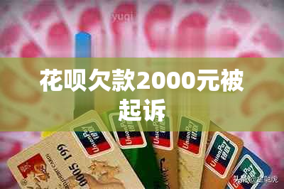 花呗欠款2000元被起诉