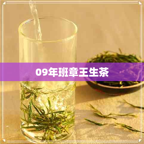 09年班章王生茶