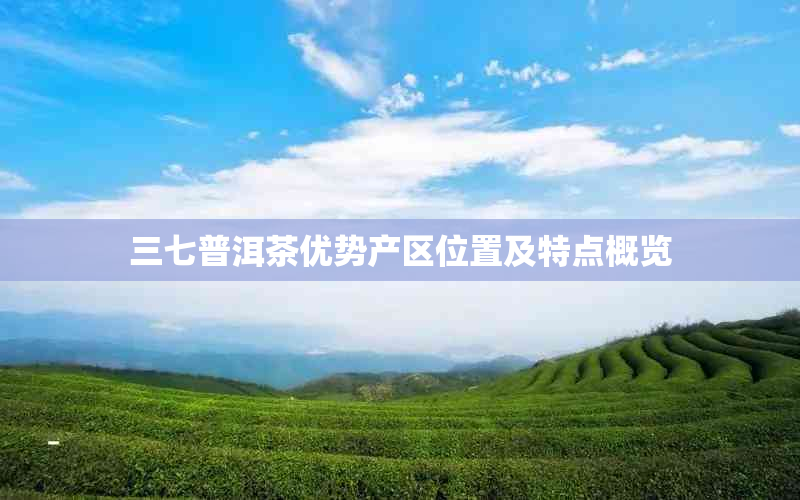 三七普洱茶优势产区位置及特点概览