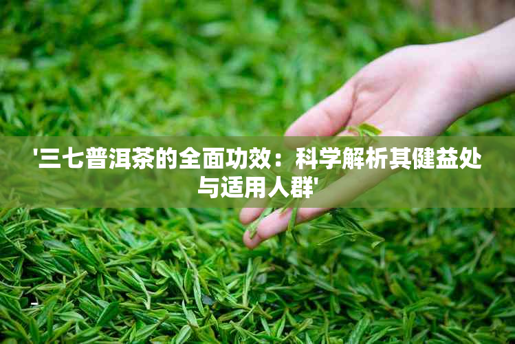 '三七普洱茶的全面功效：科学解析其健益处与适用人群'