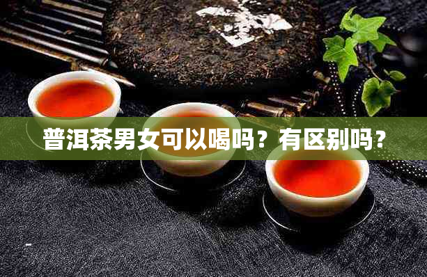 普洱茶男女可以喝吗？有区别吗？