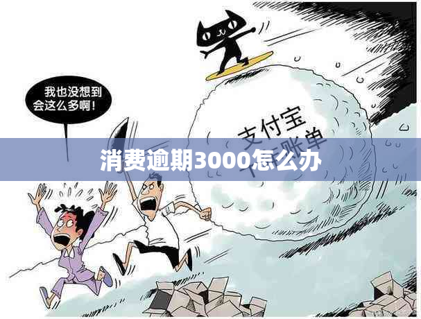 消费逾期3000怎么办