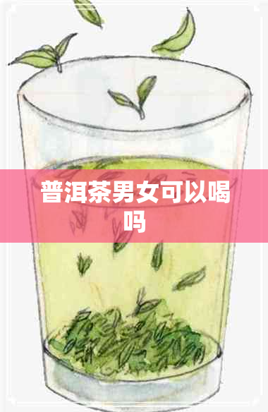 普洱茶男女可以喝吗