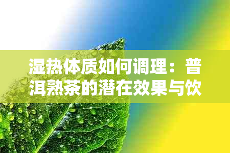 湿热体质如何调理：普洱熟茶的潜在效果与饮用禁忌