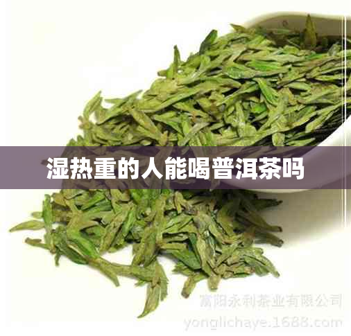 湿热重的人能喝普洱茶吗