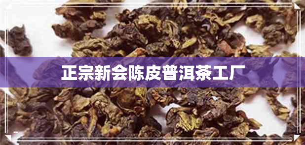 正宗新会陈皮普洱茶工厂