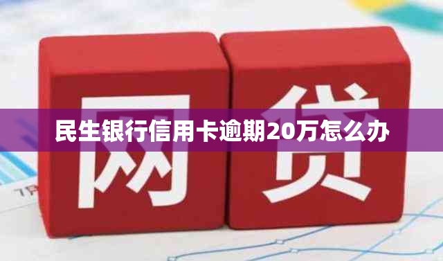 民生银行信用卡逾期20万怎么办