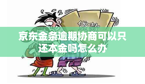 京东金条逾期协商可以只还本金吗怎么办