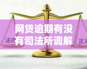 网贷逾期有没有司法所调解