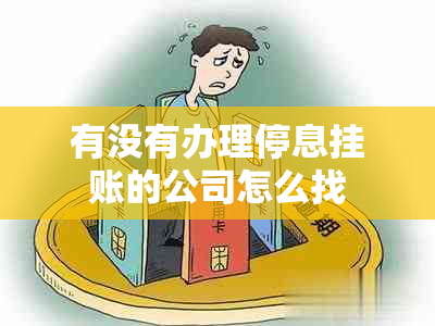 有没有办理停息挂账的公司怎么找