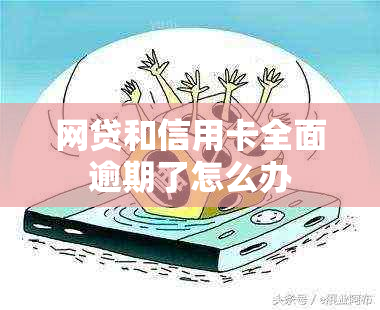 网贷和信用卡全面逾期了怎么办