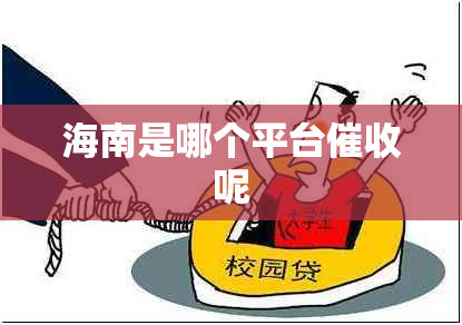 海南是哪个平台呢