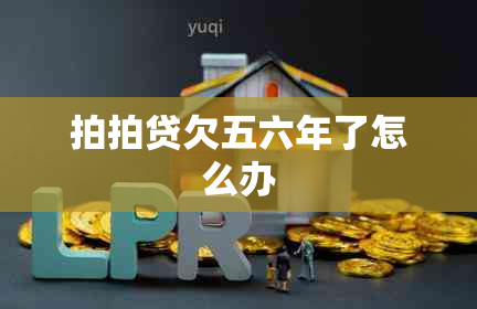 拍拍贷欠五六年了怎么办