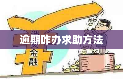 逾期咋办求助方法