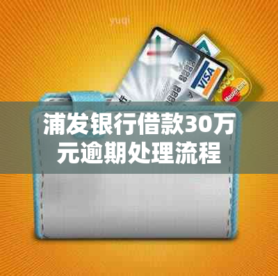 浦发银行借款30万元逾期处理流程