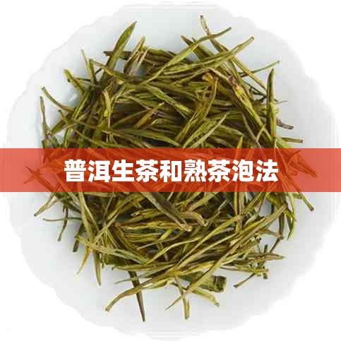 普洱生茶和熟茶泡法