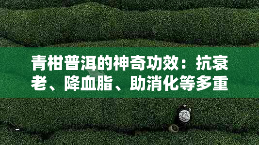 青柑普洱的神奇功效：抗衰老、降血脂、助消化等多重益处详解