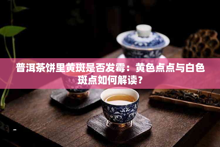 普洱茶饼里黄斑是否发霉：黄色点点与白色斑点如何解读？