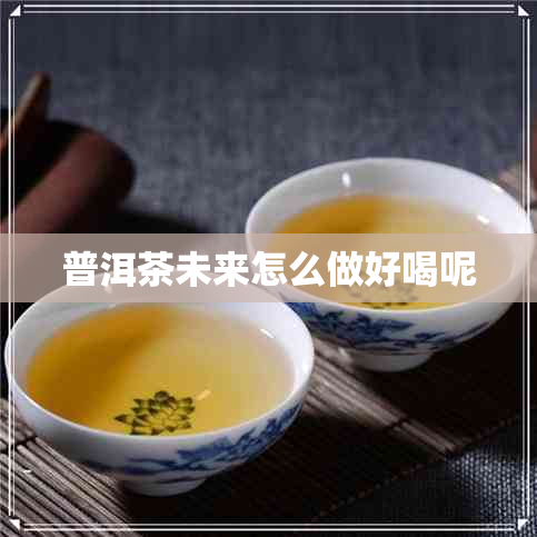 普洱茶未来怎么做好喝呢