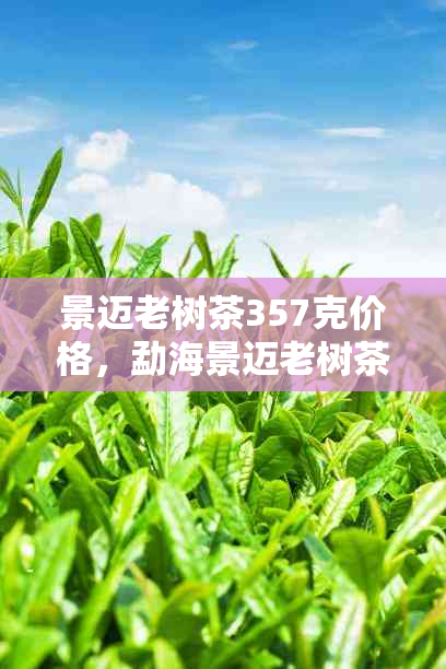 景迈老树茶357克价格，勐海景迈老树茶厂，名古号景迈老树茶厂