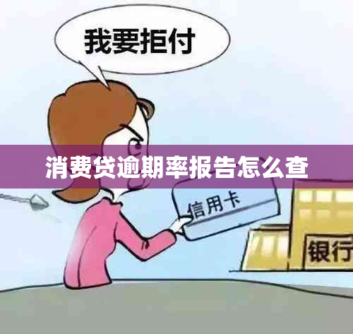 消费贷逾期率报告怎么查