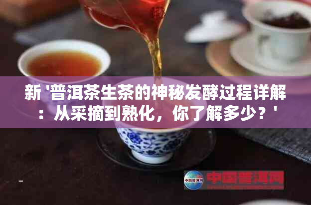 新 '普洱茶生茶的神秘发酵过程详解：从采摘到熟化，你了解多少？'