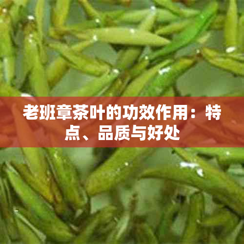 老班章茶叶的功效作用：特点、品质与好处