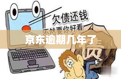 京东逾期几年了