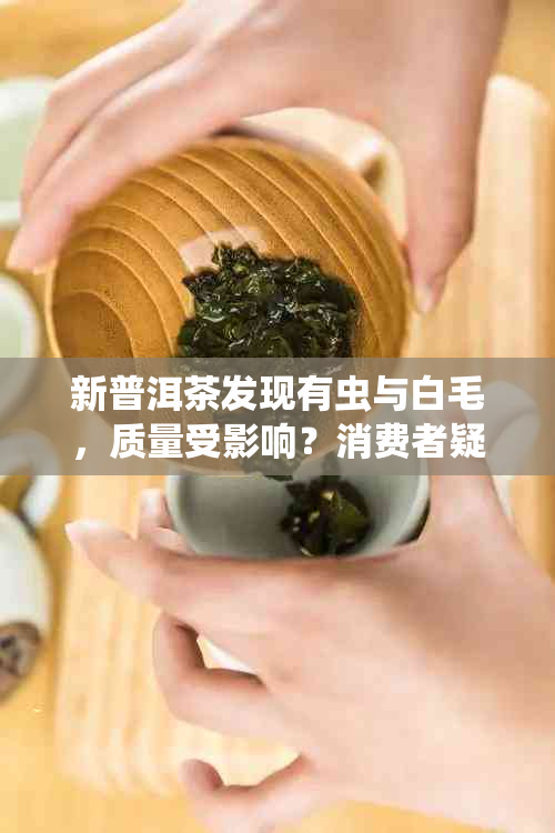 新普洱茶发现有虫与白毛，质量受影响？消费者疑虑如何解答