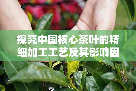 探究中国核心茶叶的精细加工工艺及其影响因素