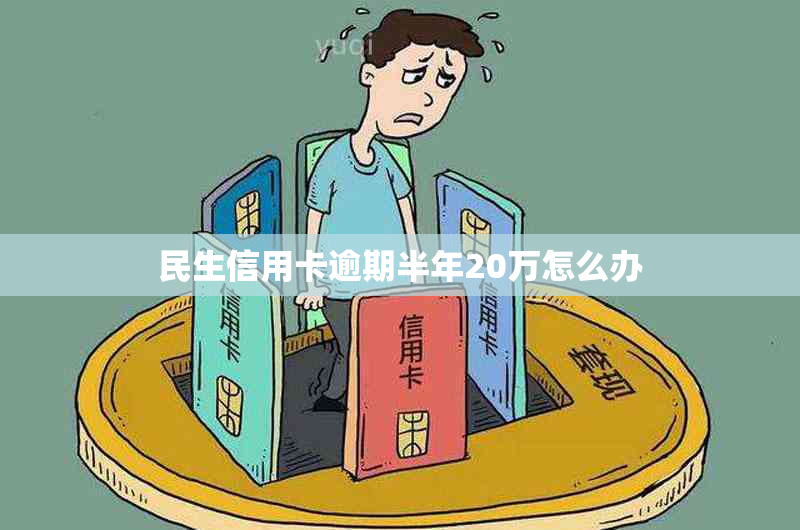 民生信用卡逾期半年20万怎么办